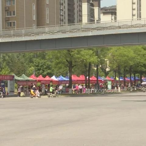 高考考场外全国统一动作：那些陪伴与守望的瞬间